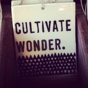 cultivate wonder